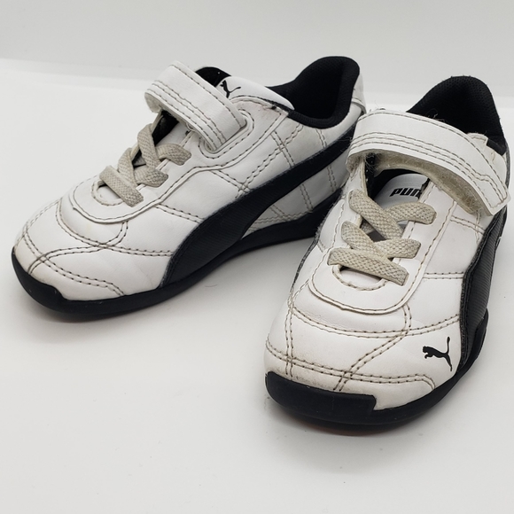 Pumas - Picture 9 of 9